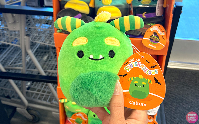 Hand holding Halloween Squishmallows Callum