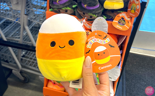 Hand holding Halloween Squishmallows Cannon