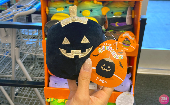 Hand holding Halloween Squishmallows Paige