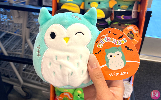 Hand holding Halloween Squishmallows Winston