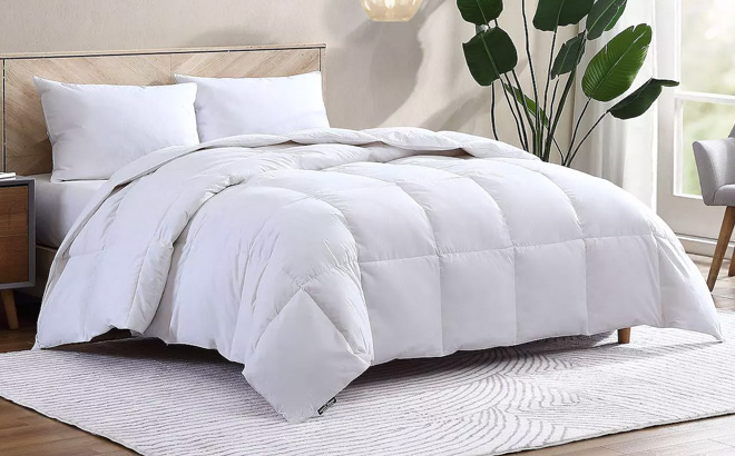 Hotel Suite Feather Comforter Set with Pillows