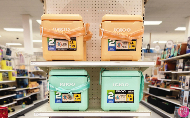 Igloo Coolers on a Store Shelf