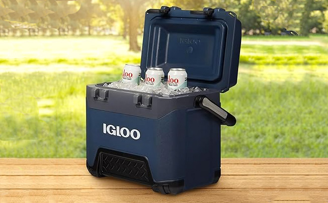 Igloo Heavy Duty 25 Qt BMX Ice Chest Cooler