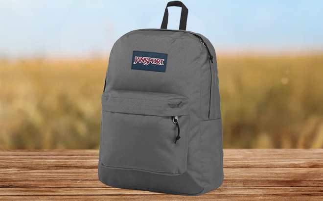 JanSport SuperBreak One Backpack in Deep Gray