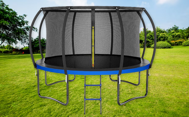 Kiivakii 12 Foot Outdoor Trampoline with Enclosure Net & Ladder