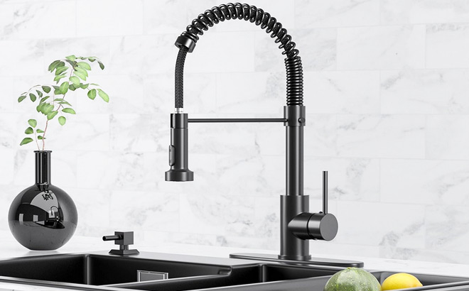 Kitchen Faucet with Pull Down Sprayer in Matte Black Finish