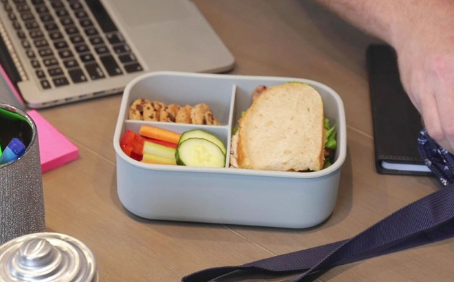 Kitchen Innovations Silicone Divided Lunch Container