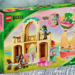 LEGO Wicked Glinda Elphaba Nessarose at Shiz University in a Box