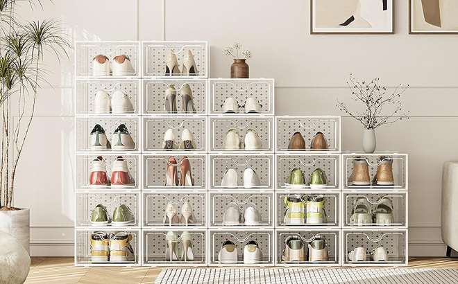 Large Shoe Storage Boxes