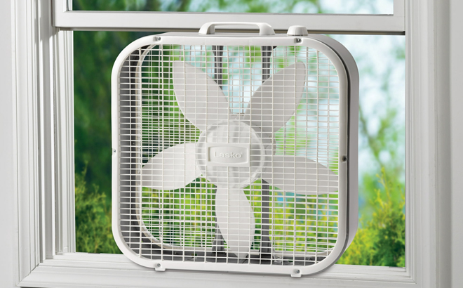 Lasko 20 Inch Classic Box Fan in White