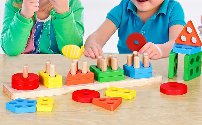 Montessori Wooden Shape Toys