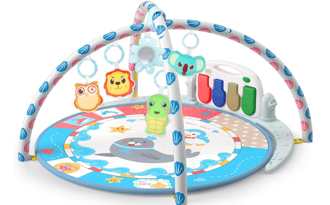 Multi Functional Sensory Development Activity Gym for Infants