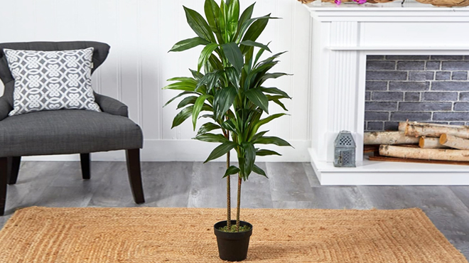 Nearly Natural Real Touch Leaves Artificial Dracaena Plant 4 Foot