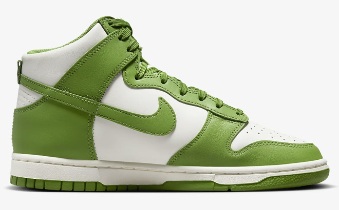 Nike Dunk High Womens Shoe