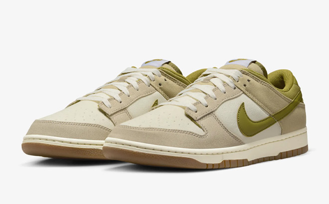 Nike Dunk Low Mens Shoes on a Grey Background