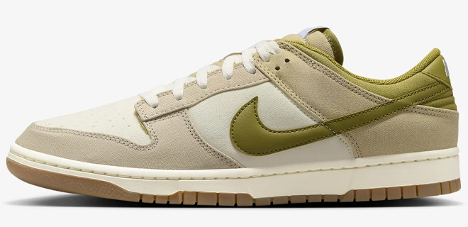 Nike Dunk Low Mens Shoes