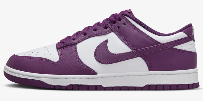 Nike Dunk Low Retro Mens Shoe in White and Viotech Color