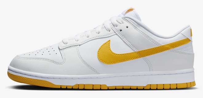 Nike Dunk Low Retro Mens Shoes