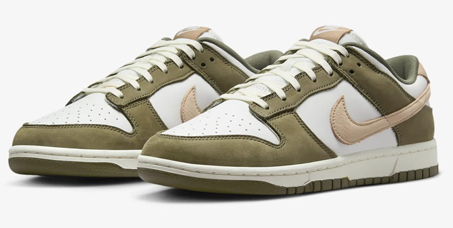 Nike Dunk Low Retro Premium Mens Shoes