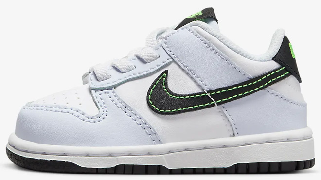 Nike Dunk Low Toddler Shoe