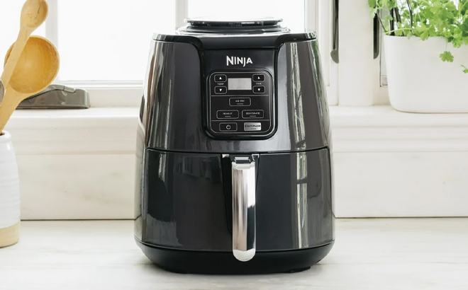 Ninja 4 Quart Air Fryer