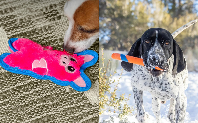 Outward Hound Durablez Tough Plush Squeaky Dog Toy and Chuckit Ultra Fetch Stick Outdoor Dog Toy