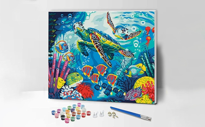 Paint by Number Kits With Brush Paint