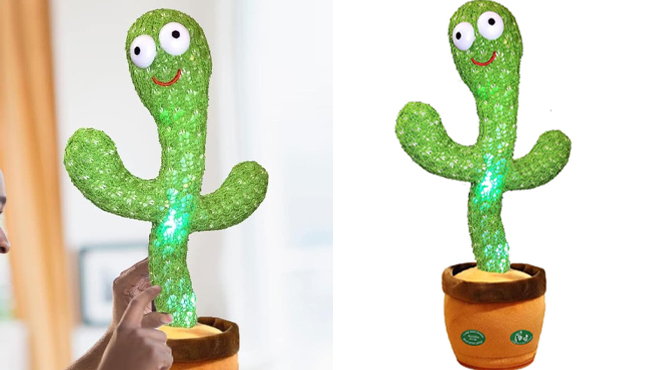 Pbooo Dancing Cactus Toy 