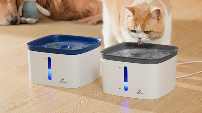 Pet Water Fountains