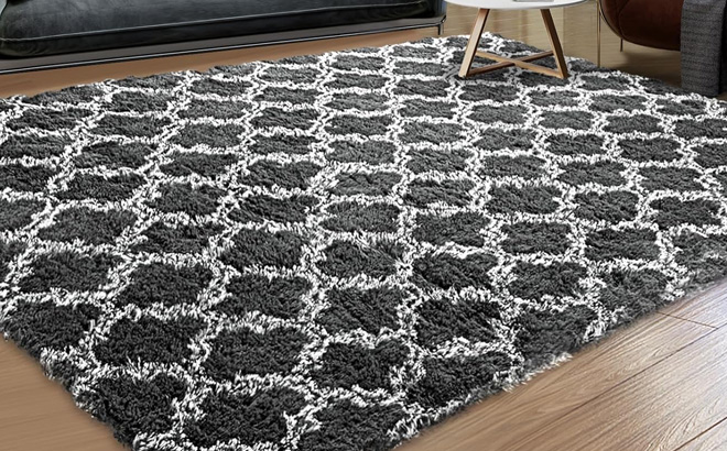 Plush Area Rug 4x6 1