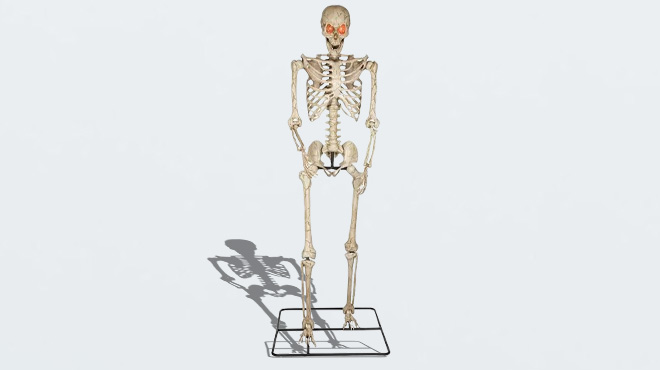 Poseable Skeleton with Lighted Red Eyes