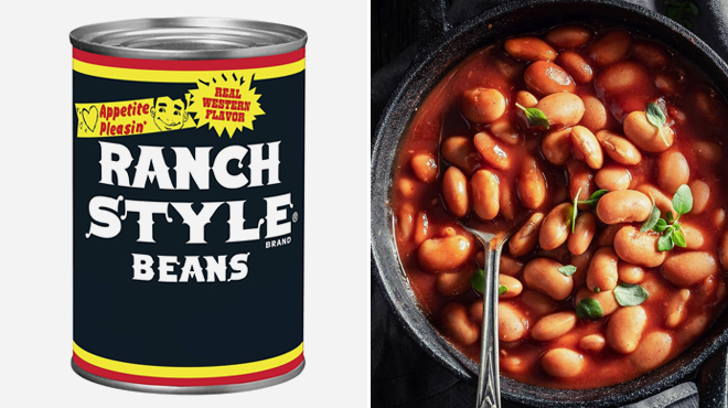 Ranch Style 15 ounce Canned Pinto Beans