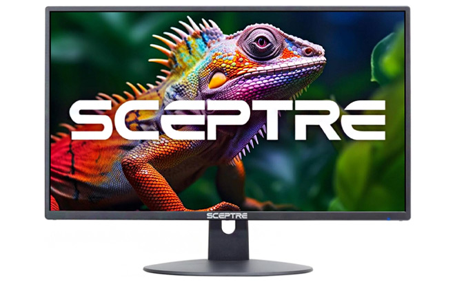 Sceptre 24 inch Professional Thin LED Monitor