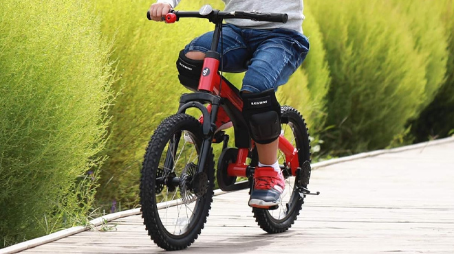 Segway Ninebot 18 inch Kids Bike