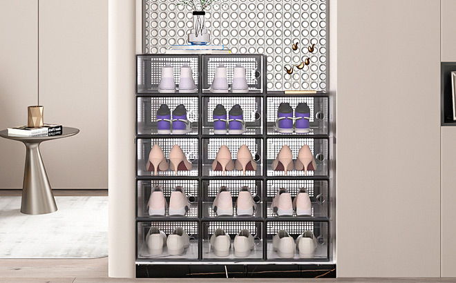 Shoe Storage Boxes 12 Pack