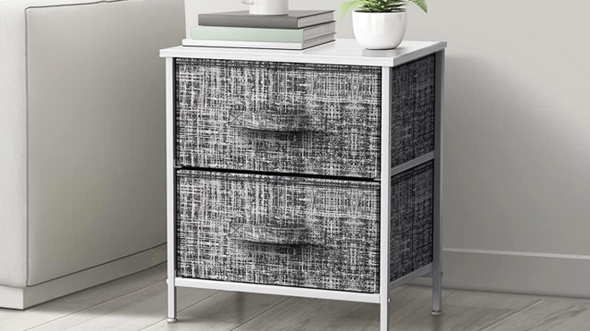 Sorbus 2 Drawers Chest Dresser in Gray White Color