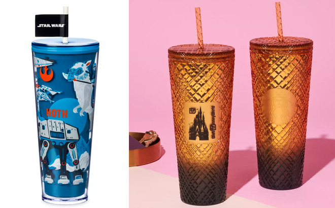 Star Wars Hoth Starbucks Tumbler and Cinderella Castle Geometric Starbucks Tumbler