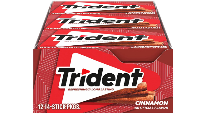 Trident Sugar Free Gum 12 Pack Cinnamon