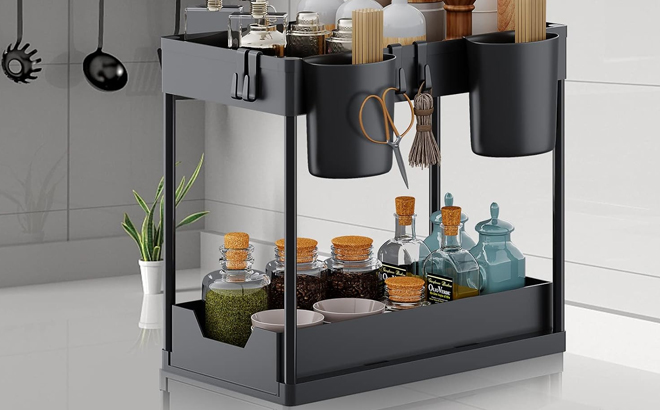 Under Sink Organizers and Storage