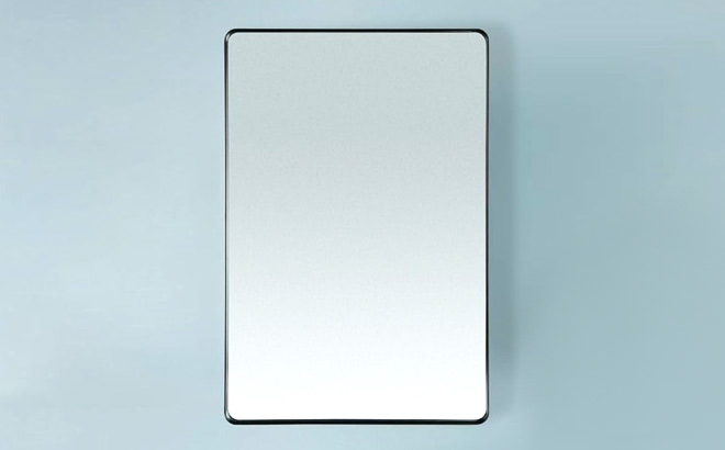 Vanity 2 Way Rectangle Wall Mirror in Black