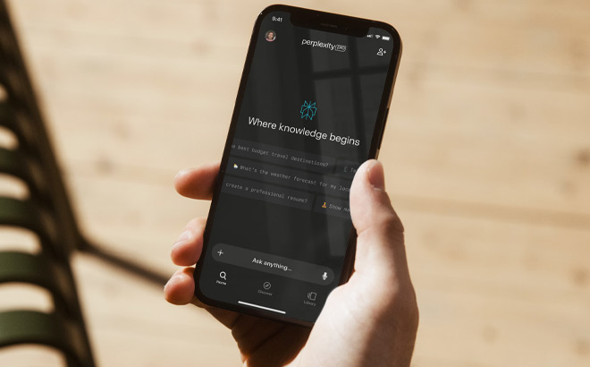 a Person Using Perplexity AI