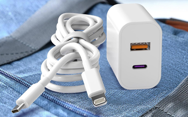 iPhone Dual Port Charger