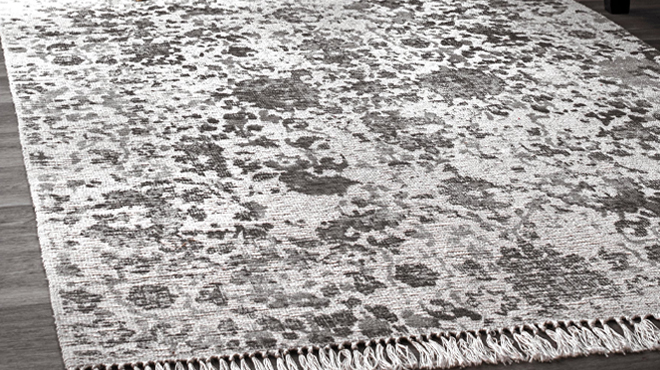 nuLOOM Vintage Ezra Fringe Area Rug