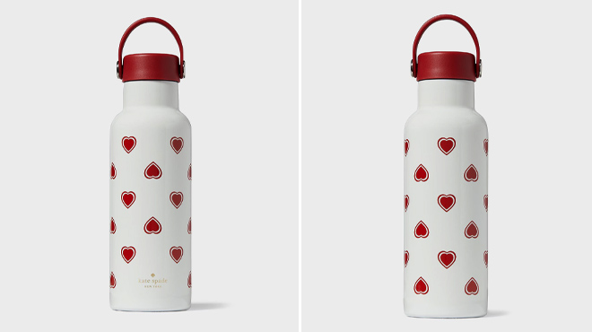 10 Kate Spade Heartfelt Geo Stainless Steel Water Bottle