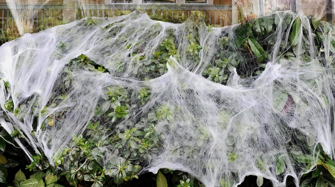 13 Halloween Spider Webs Decorations