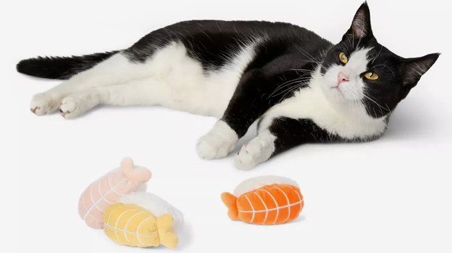 4 Cuddle Collab Sashimi Sushi Cat Toy Set