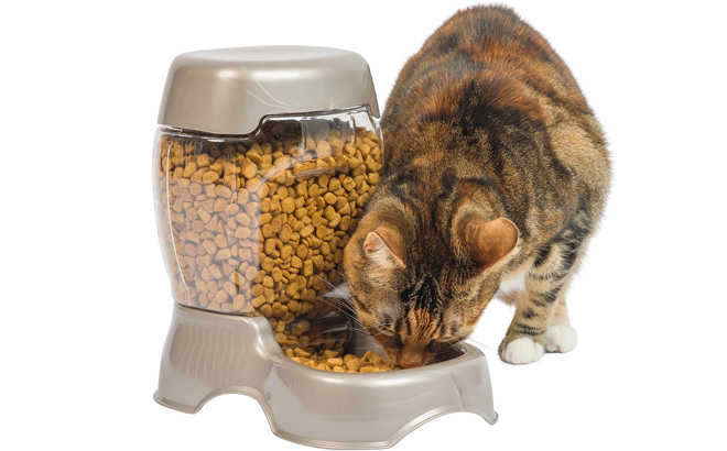 A Cat Eating Treats from a Petmate Pet Feeder