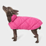 A Dog Wearing 32 Degrees Doggie Fleece Quilted Vest