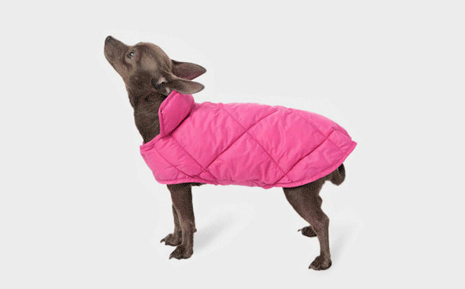 A Dog Wearing 32 Degrees Doggie Fleece Quilted Vest