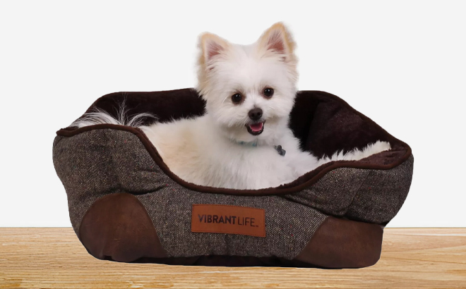 A Dog lying in a Vibrant Life Small Cozy Cuddler Style Pet Bed